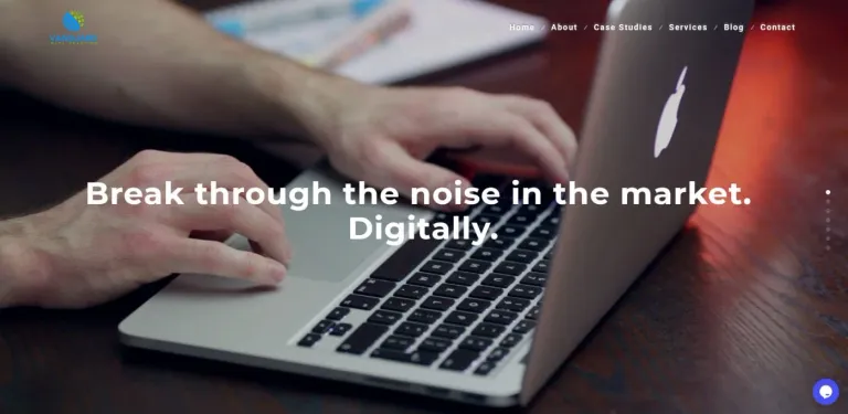 Vanguard Data Solution website